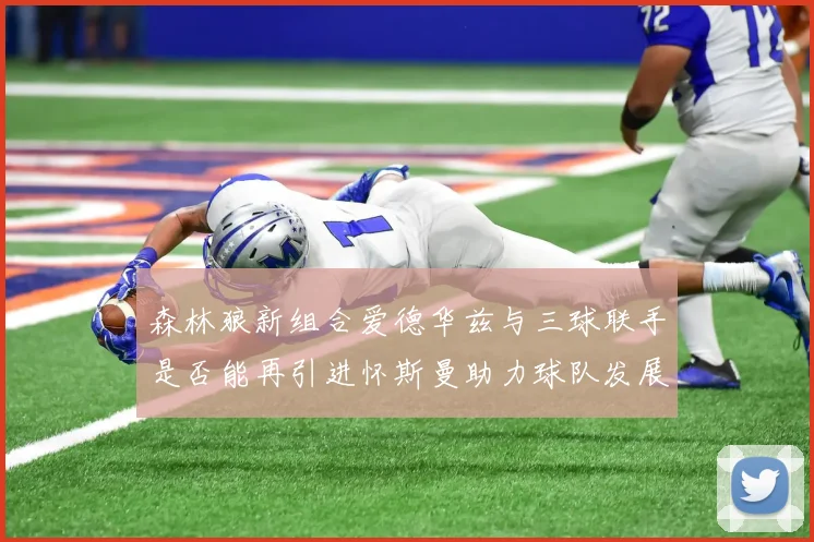 森林狼新组合爱德华兹与三球联手是否能再引进怀斯曼助力球队发展